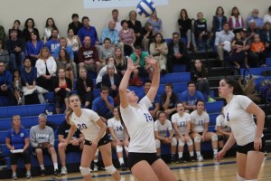 Junior Allison Wilson has been a steady presence for the young volleyball team this season